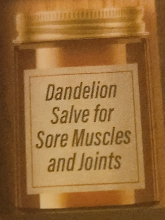 Dandelion Salve for Sore Muscles and Joints 2oz.